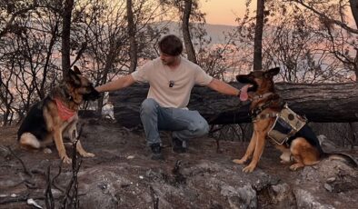 Kahraman Köpekler ve Tohumlar, İzmir Bozköy’de Yanan Ormana Yeniden Hayat Veriyor