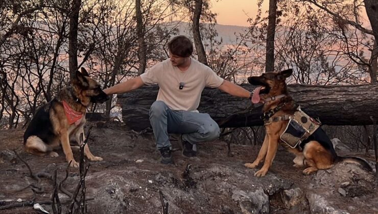 Kahraman Köpekler ve Tohumlar, İzmir Bozköy’de Yanan Ormana Yeniden Hayat Veriyor